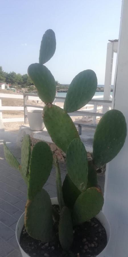 普尔萨诺Salenti..Amo别墅 外观 照片